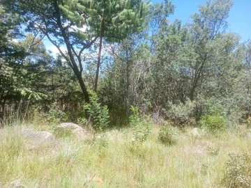 Farm & Agricultural Land