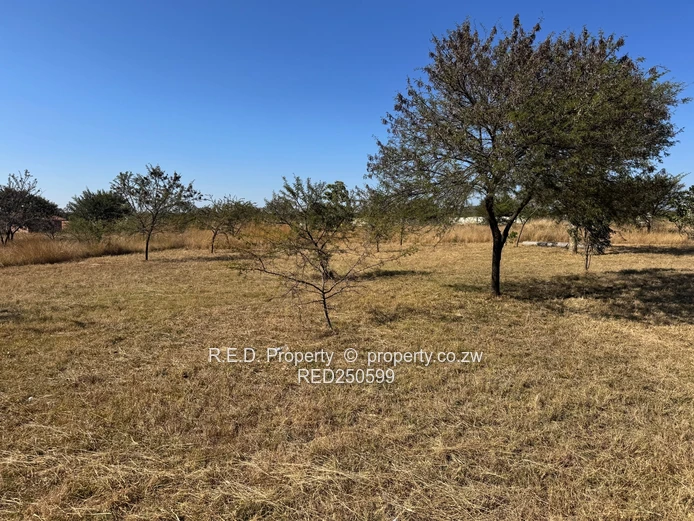 Big Land, Big Potential  In Manningdale!