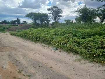 Commercial & Industrial Land