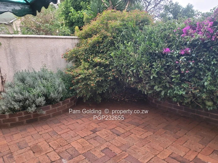 A Garden Flat With A Garden !!!