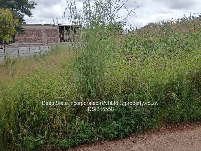 Chishawa Hills stand for sale 