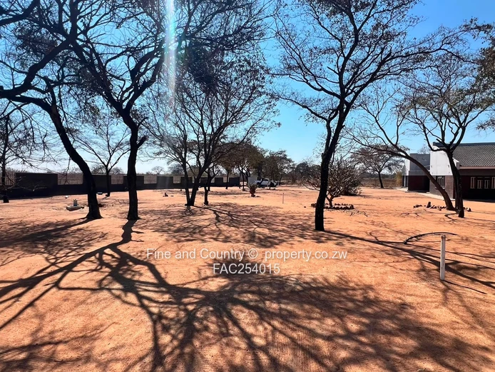 Prime Plot on the Main Road
