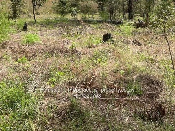 Carrick Creagh stand For Sale