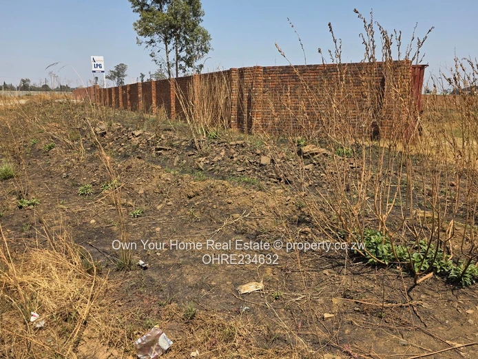 Sandton Commercial Rental (Sole Mandate)