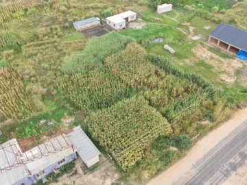 Commercial & Industrial Land