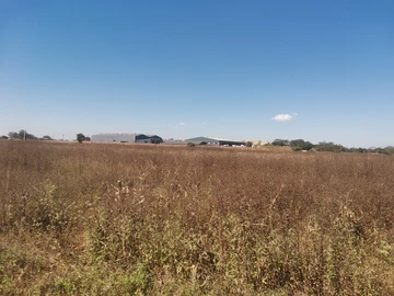 Commercial & Industrial Land