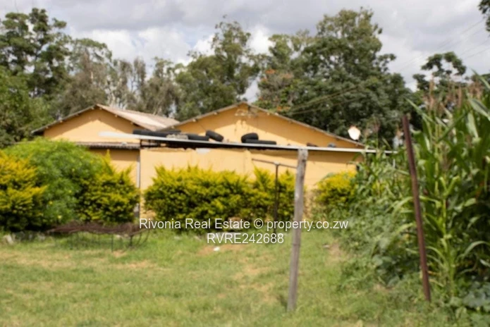 Developer's delight cluster 