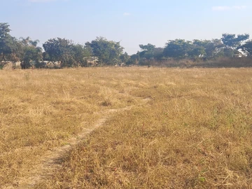 Farm & Agricultural Land