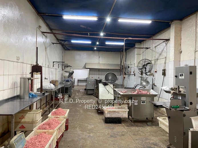 Business and Executive