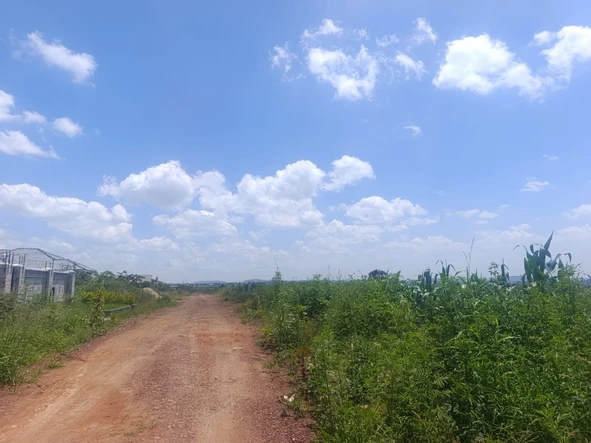 Stands & Residential Land