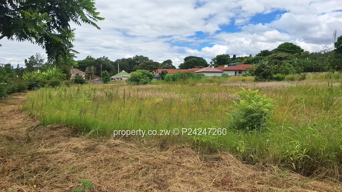 Quinnington, Helensvale 135K