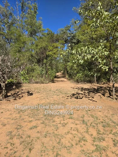 4.3-hectare plot in Marondera town.