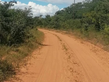 Farm & Agricultural Land