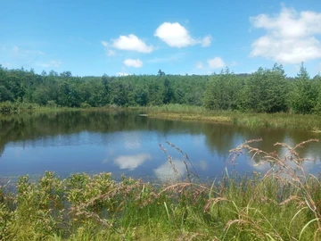 Farm & Agricultural Land