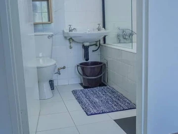 Flat & Apartment