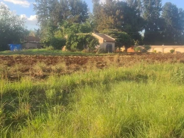 Stands & Residential Land