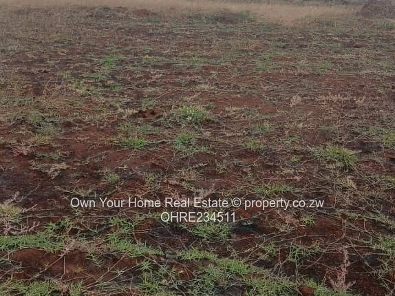 Rainham plot for sale