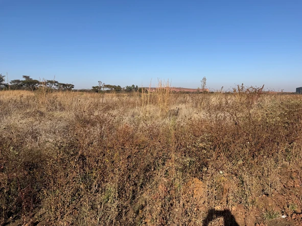 Commercial & Industrial Land