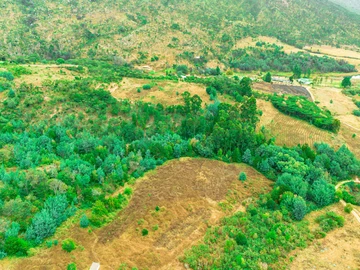 Farm & Agricultural Land