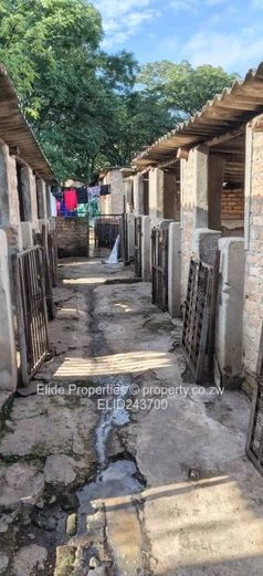 10ha Marondera Farm — Dam, Orchard, Vineyard & Homestead (Sole Mandate)