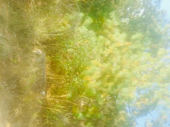 Farm & Agricultural Land