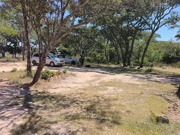 Farm & Agricultural Land