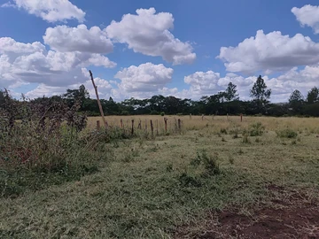 Farm & Agricultural Land