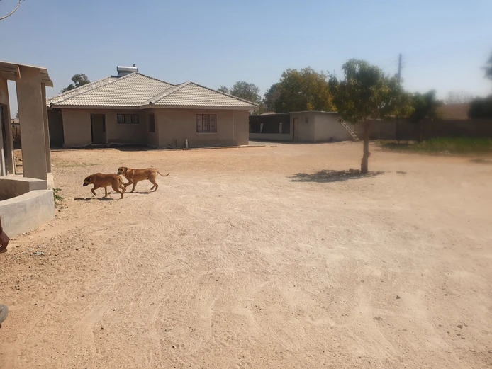 Ruwa solomio 3 bed house to rent 