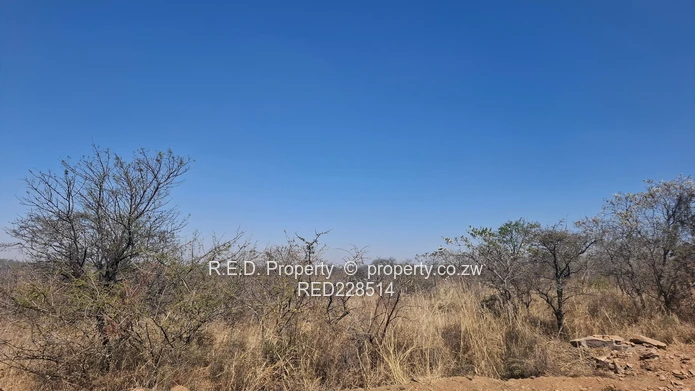 Prime Land for Sale In Burnside