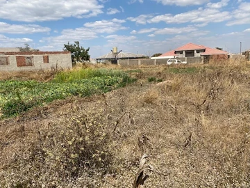 Land