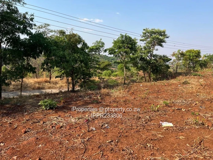 Prime Vacant Stand for Sale – Gletwin Township (Police Heights)