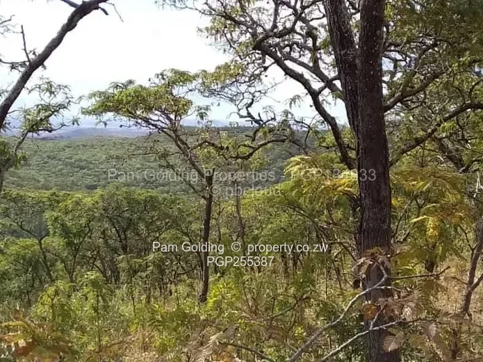 Escape to the country. Residential plots for sale. (Sole Mandate)