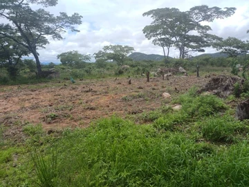 Farm & Agricultural Land