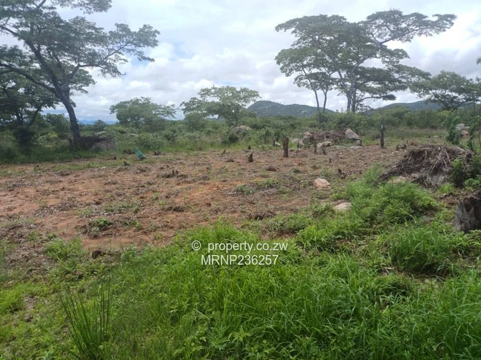 Headlands EagleNest Plot for sale (Sole Mandate)