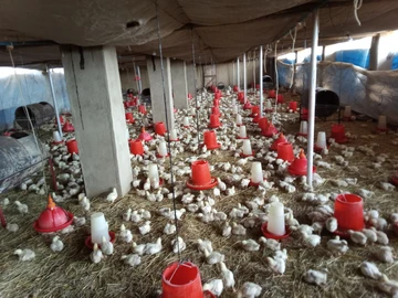 Farm & Agricultural Land