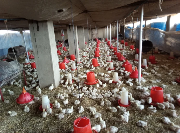 Chegutu - Suri Suri Plot To Rent