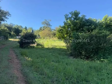 Stands & Residential Land
