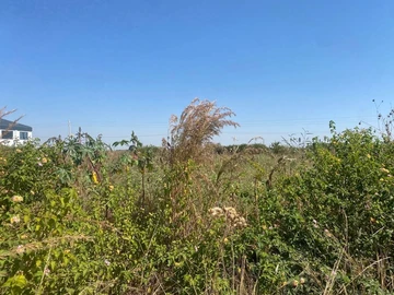 Commercial & Industrial Land