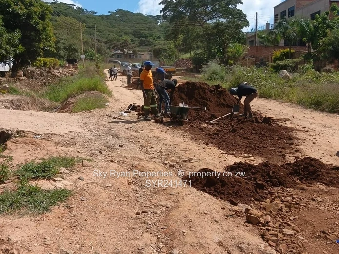 Crowhill Cleverhills Jakaranda Gated Stand For Sale