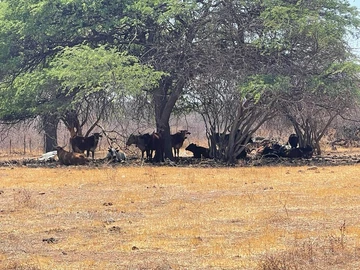 Farm & Agricultural Land