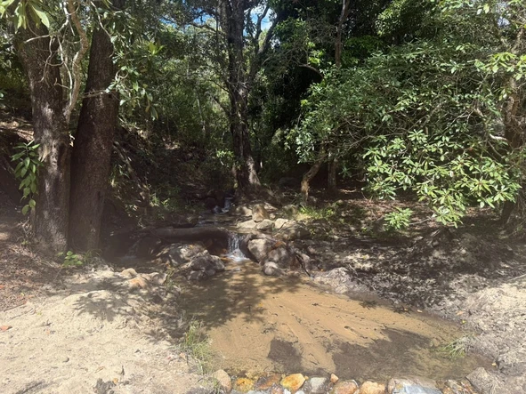 Farm & Agricultural Land