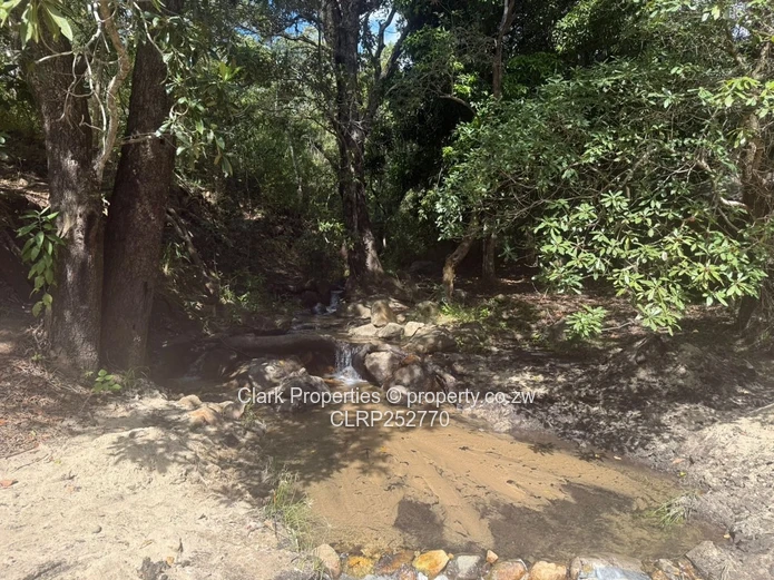 Virgin Land With Title Deeds In Vumba (Sole Mandate)