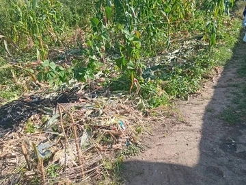 Madokero stand for sale 
