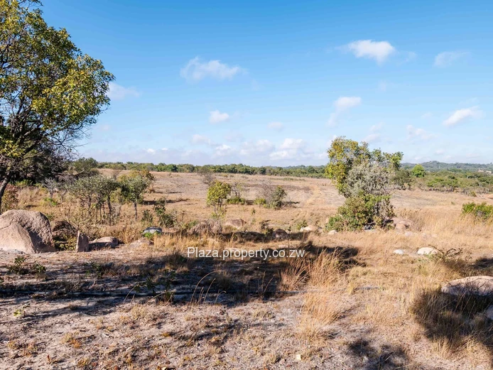 Marondera Prime 29-Hectare Farm – An Outstanding Investment Opportunity