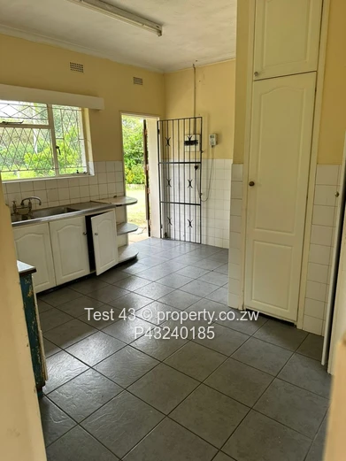 Greendale Lusitania School Neighbourhood