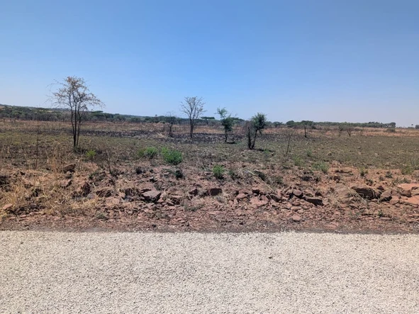 Stands & Residential Land