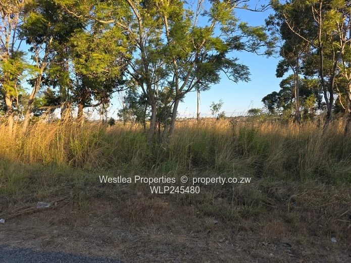 An opportunity not to miss