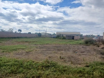 Stands & Residential Land