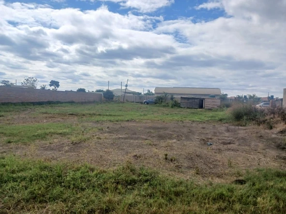 Stands & Residential Land