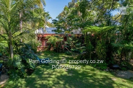 Glen Lorne Family Home Set Amongst Mature Trees and Established Gardens 